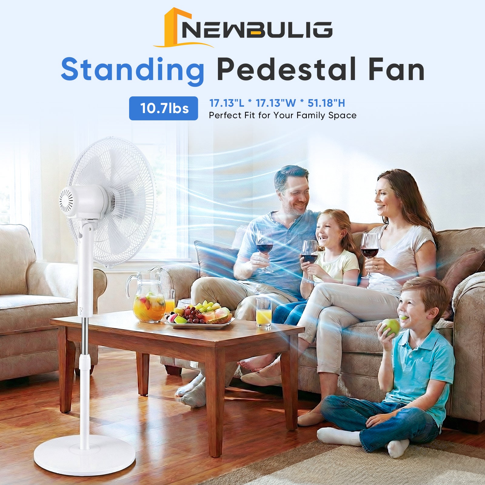 Pedestal Fan with Remote Control