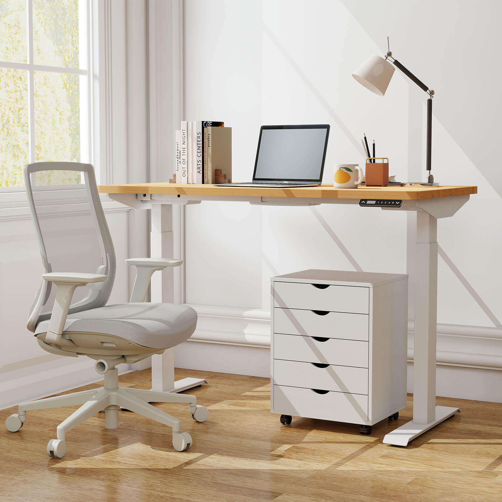 Drawer organizer removable for office, bedroom