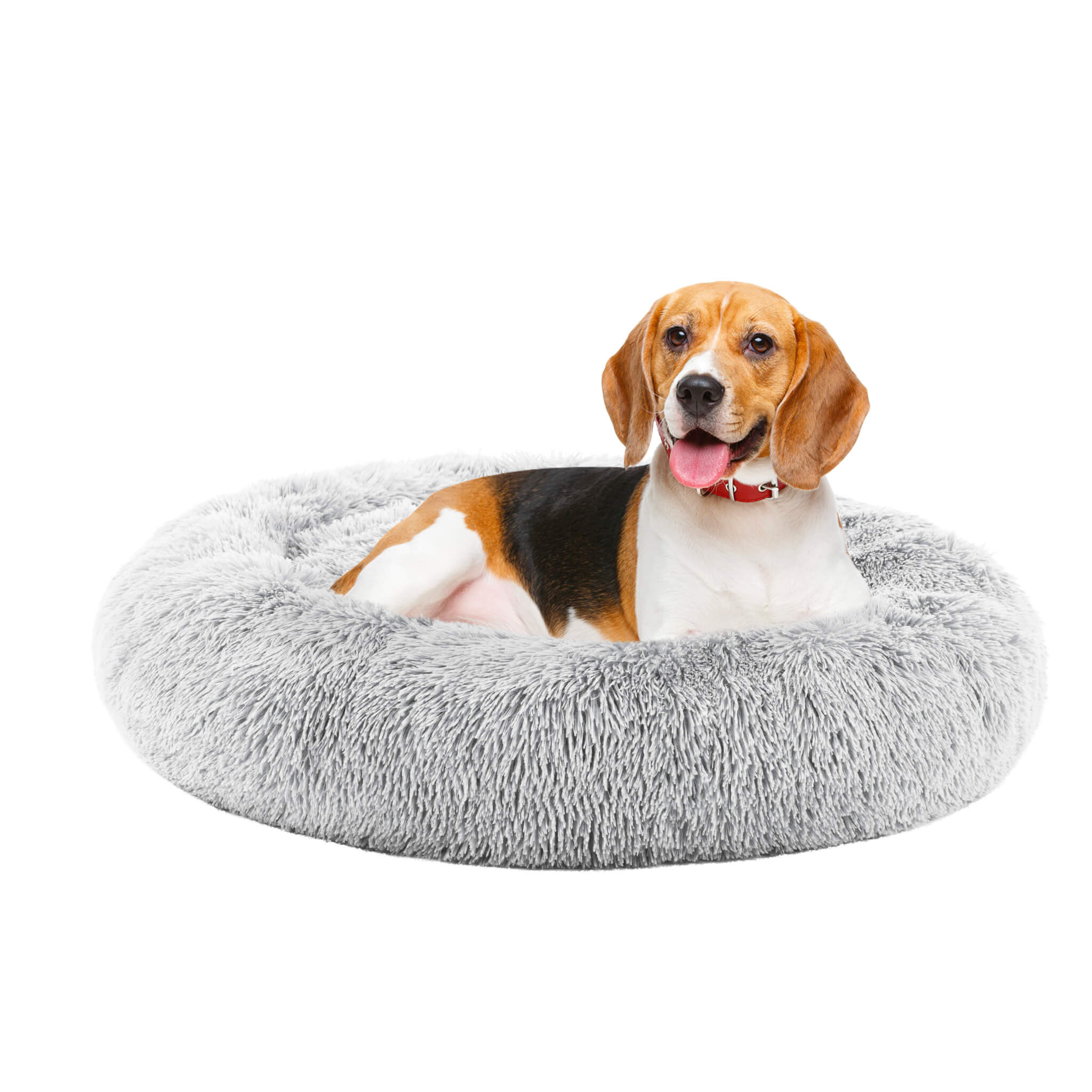 Round Dog Kennel, Pet's Cot