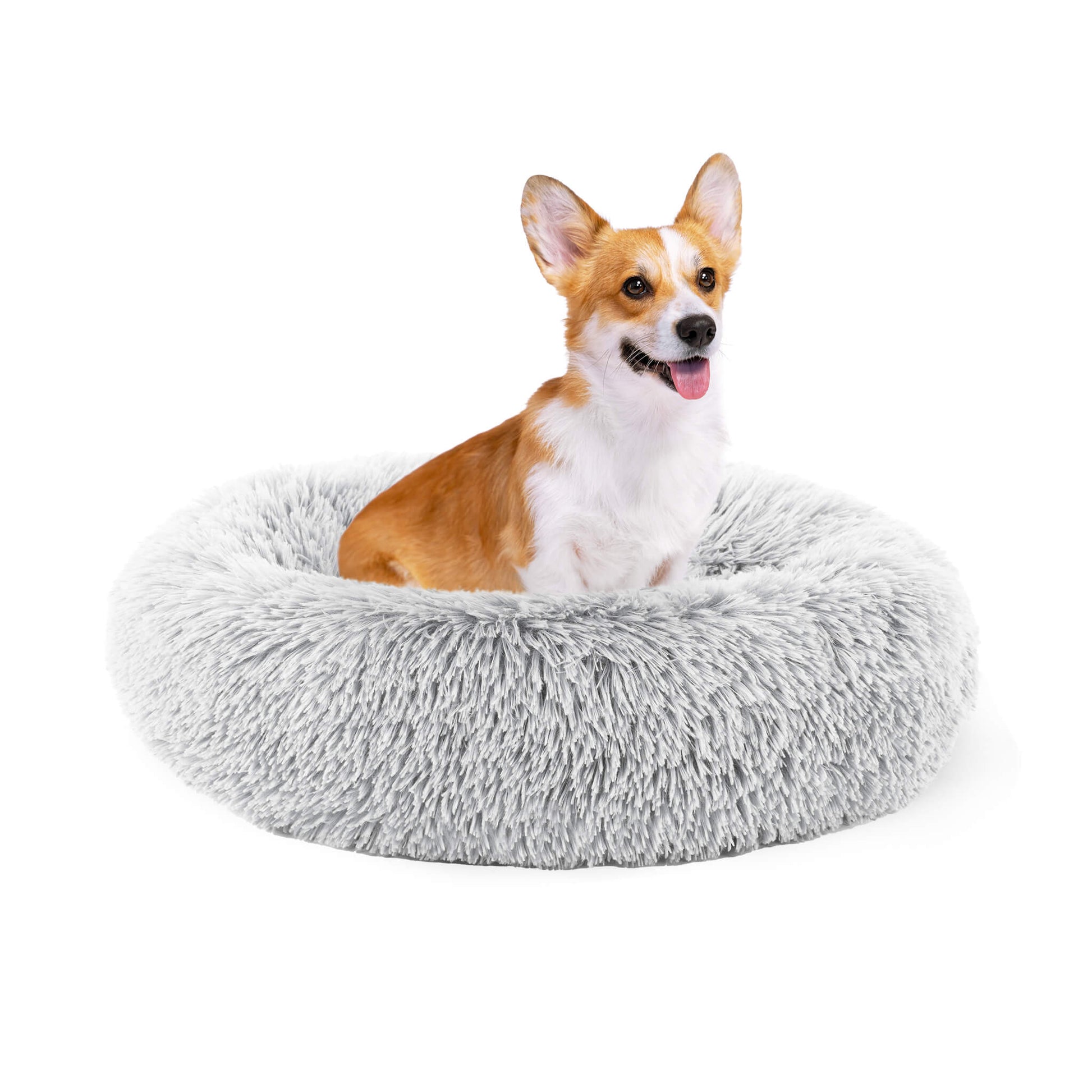 Round Dog Kennel, Pet's Cot