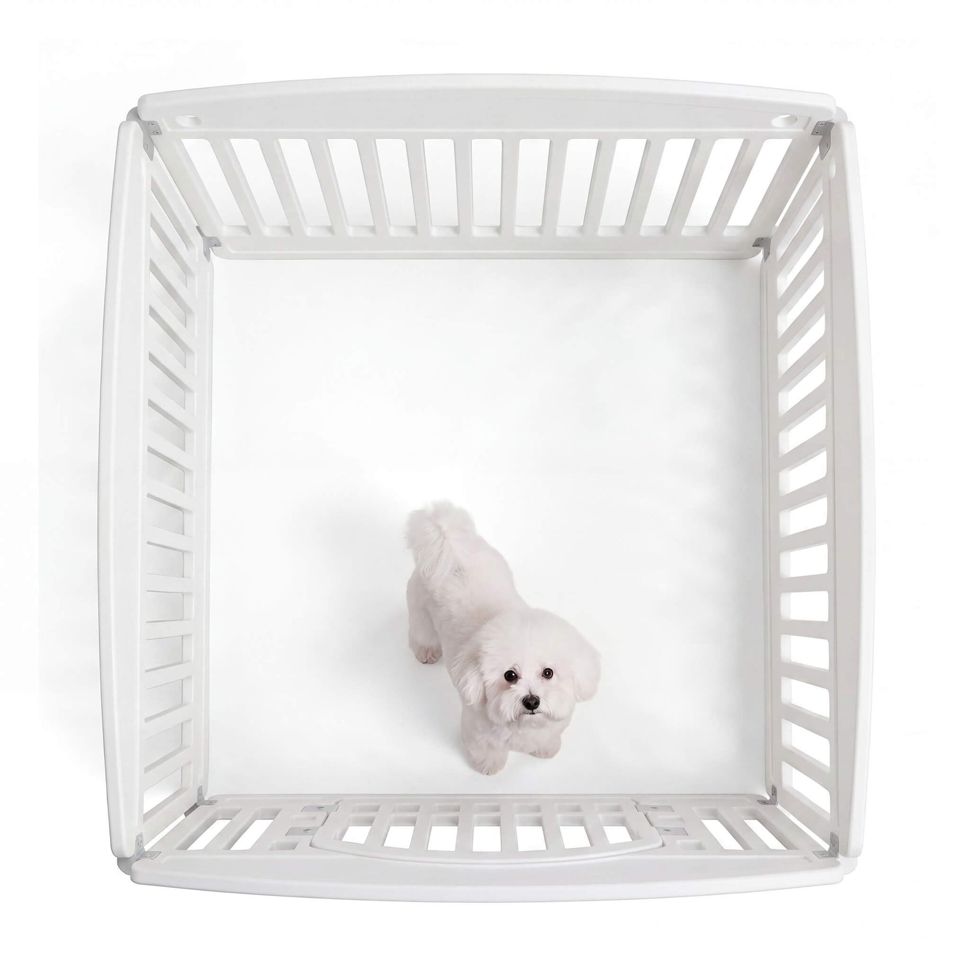 Plastic Dog Playpen with Door, Puppy Fence