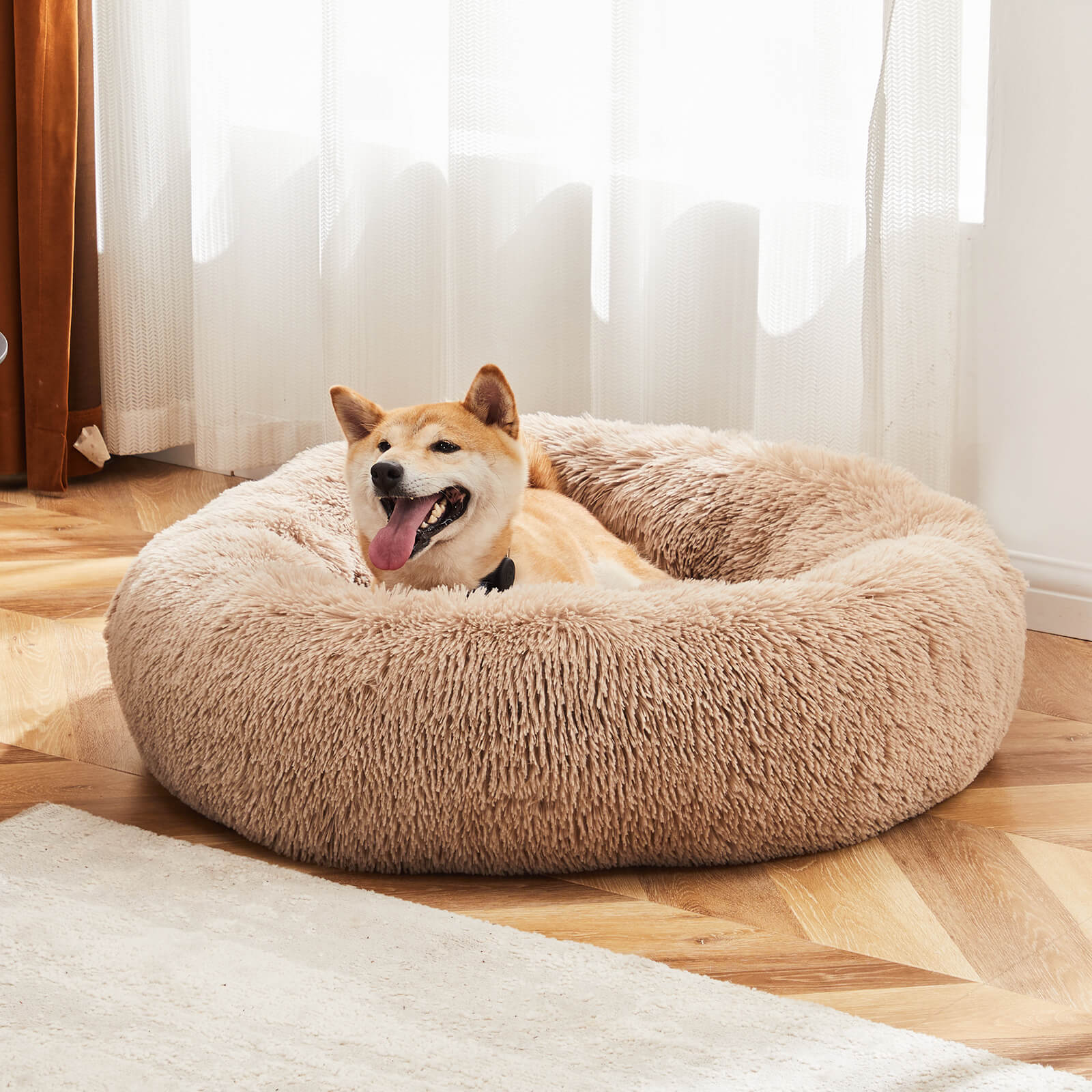 Round Dog Kennel, Pet's Cot