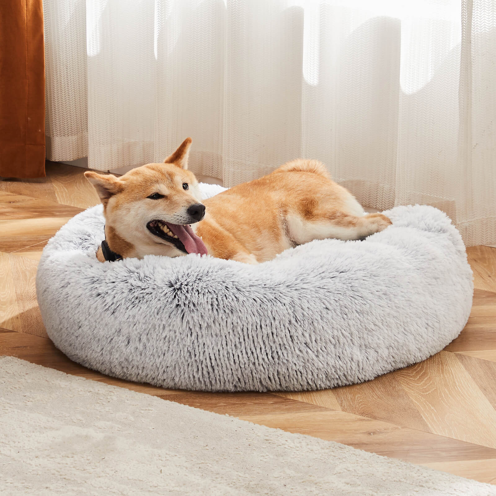 Round Dog Kennel, Pet's Cot