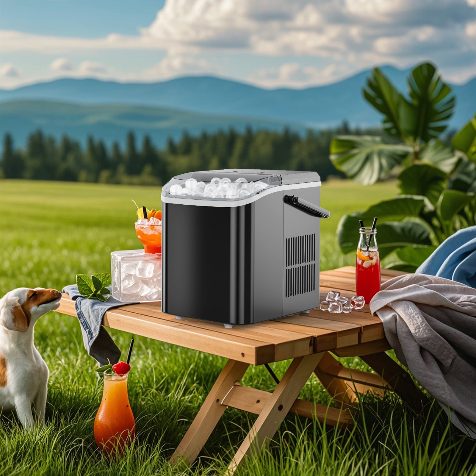 Portable Ice Maker for the Kitchen