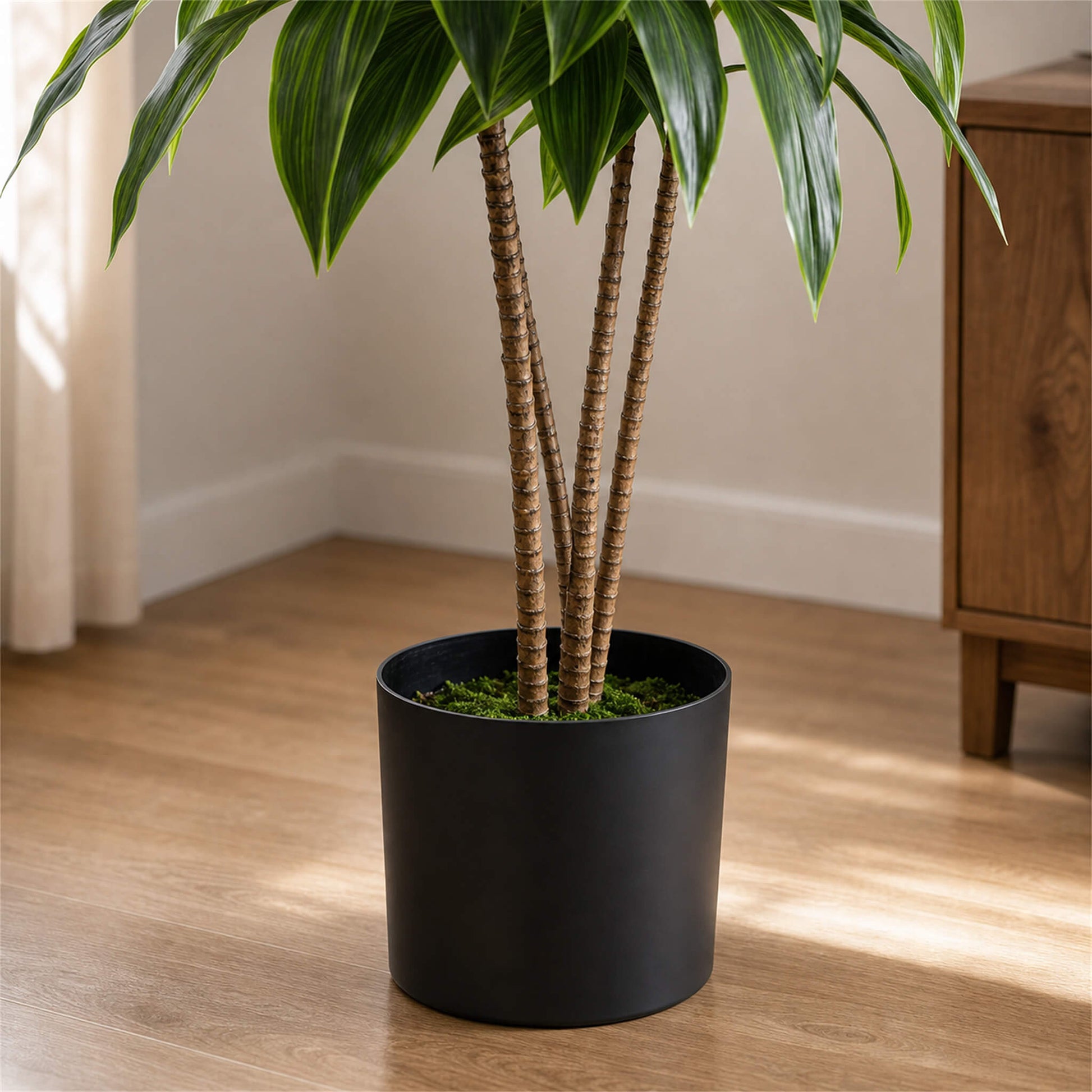 51'' Artificial Dracaena Plant or Home Decor