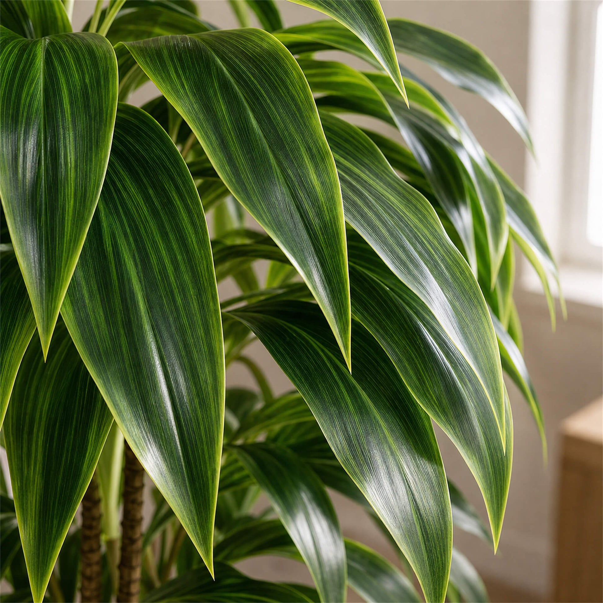 51'' Artificial Dracaena Plant or Home Decor
