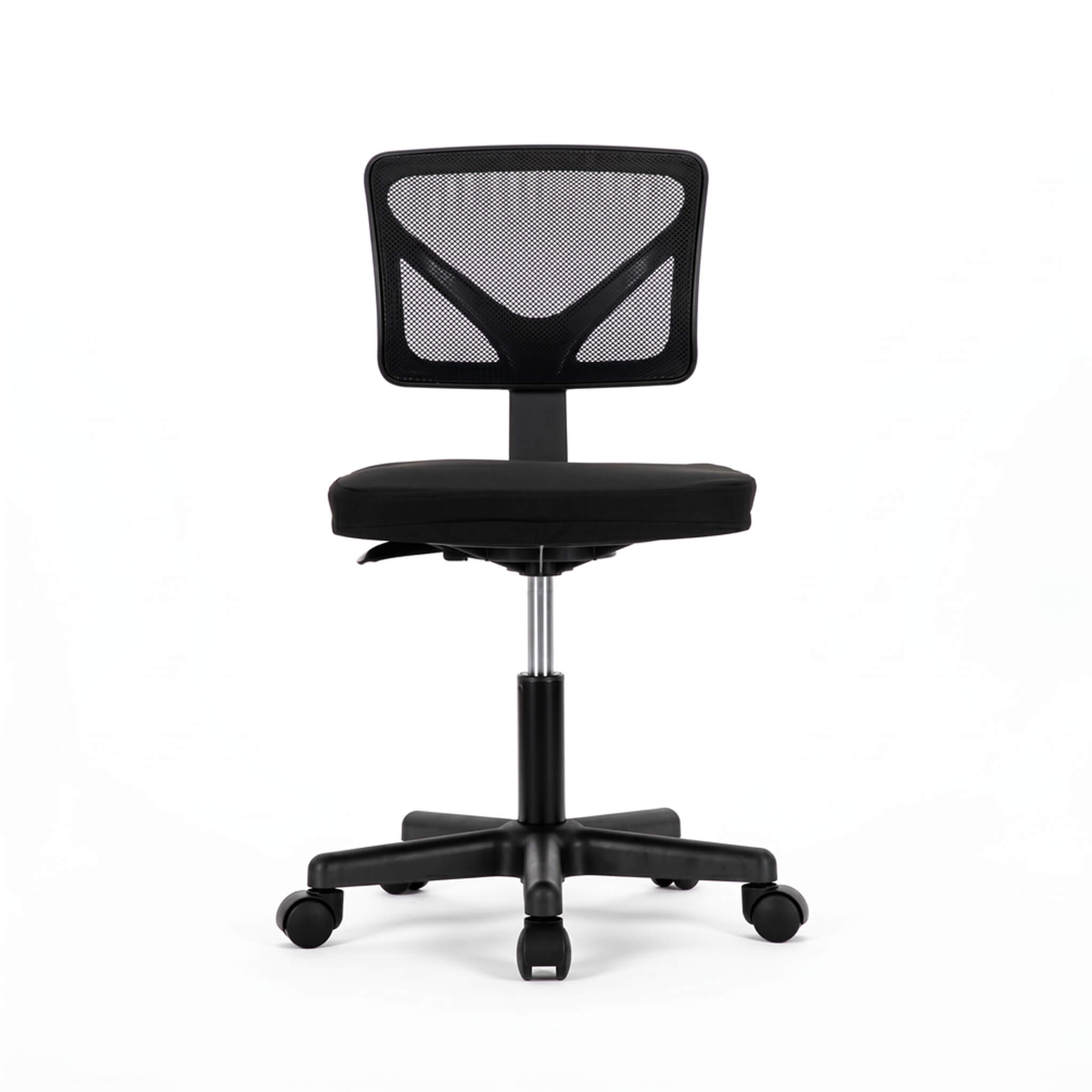 Office Chair with Lumbar Support for Office