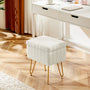 Vanity Stool Chair with Storage and Adjustable Metal Feet