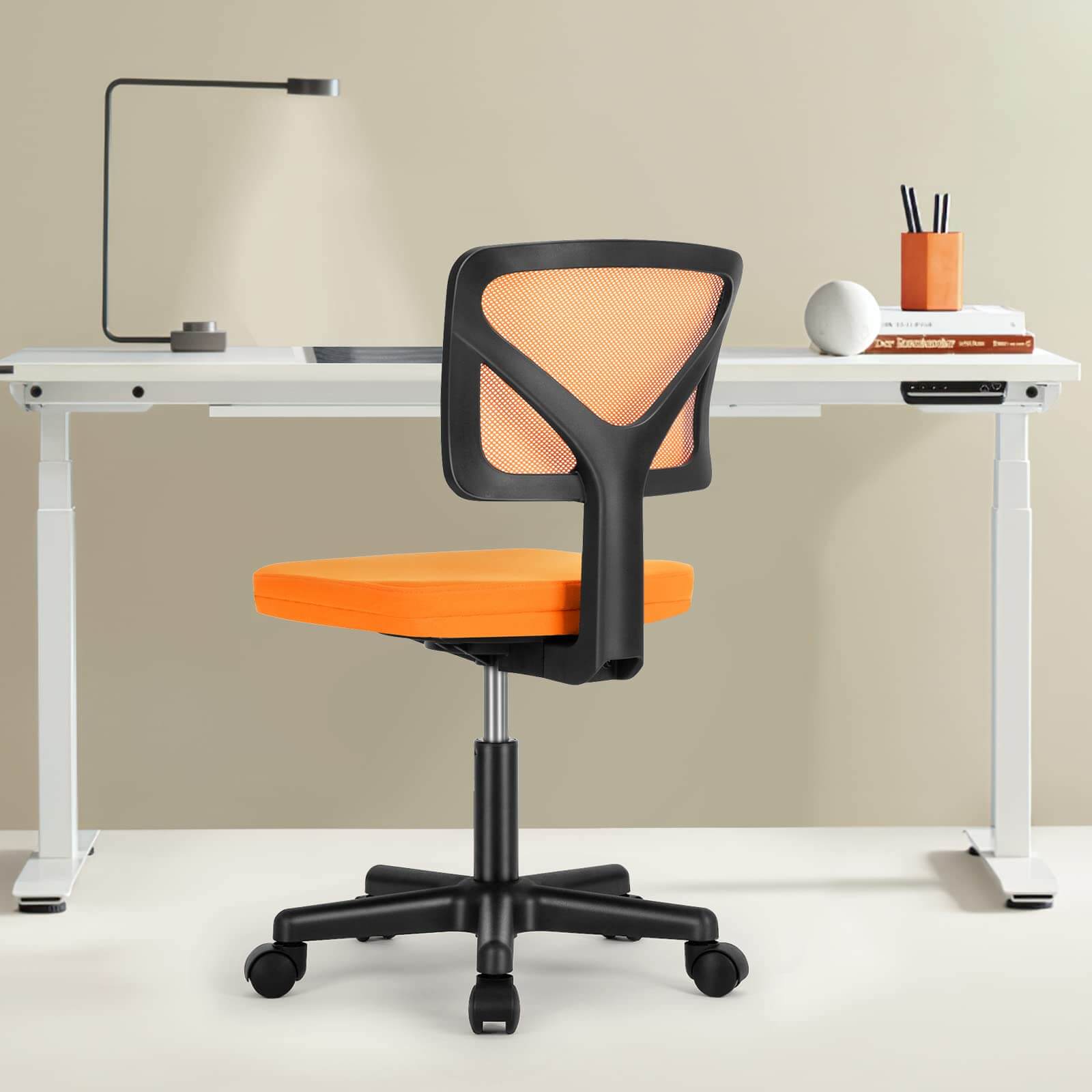 Office Chair with Lumbar Support for Office